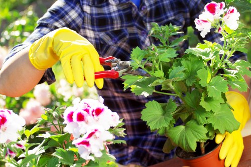 Accessible landscaping information for Waltham Forest users