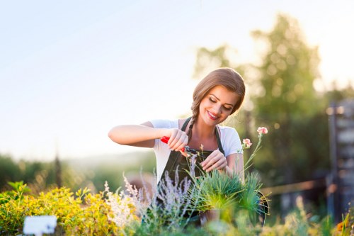 A clear landscaping quote being reviewed for a small urban garden