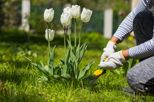Illustration of cookie consent on a landscaping website