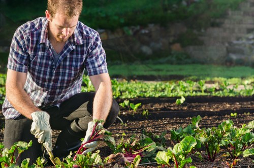 Inclusive landscaping web content for Waltham Forest area