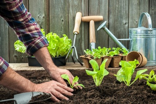 Patio, fencing, and planting improvements for a residential garden