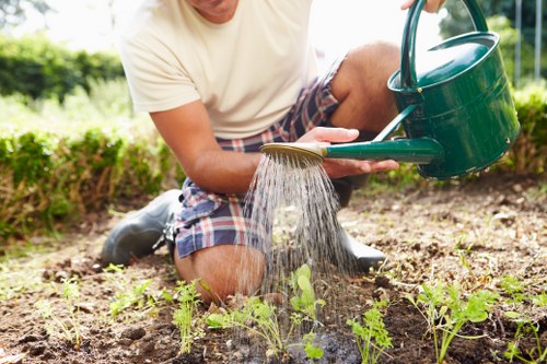 Secure payment illustration for Landscaping Walthamforest