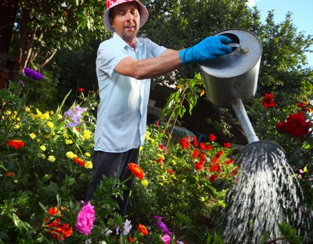 Installation of a garden drainage system in Waltham Forest