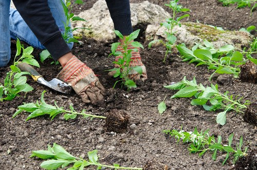 PCI-compliant secure payment processing for Landscaping Walthamforest