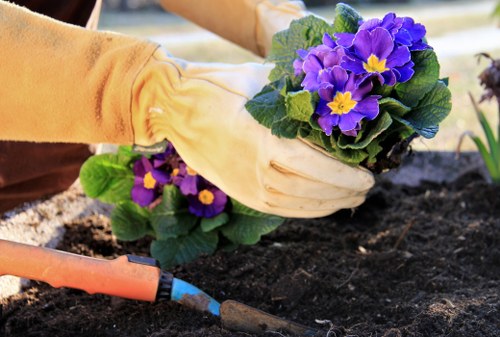 Risk assessment and site safety planning for a garden project