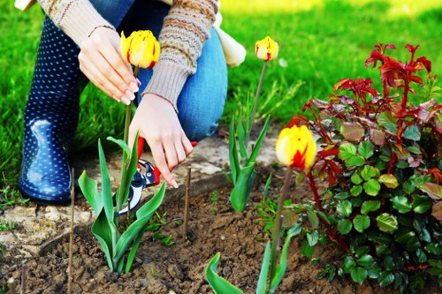Supplier compliance check for landscaping materials