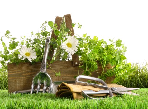 Composite decking design suitable for homes and businesses in Waltham Forest