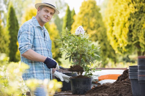 Professional Waltham Forest garden landscaping with plants and paving