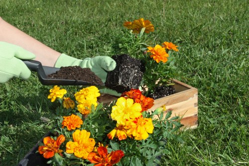 Low-carbon van used for sustainable landscaping collections in the borough
