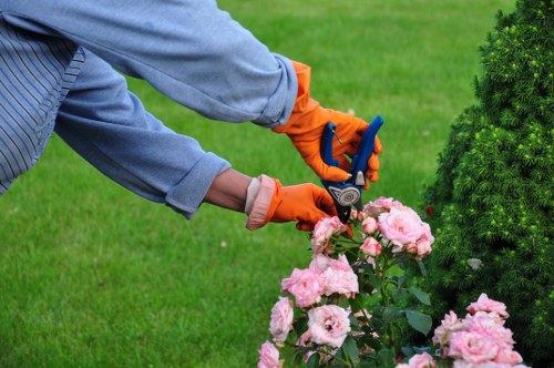 Professional landscaping crew working safely with equipment and protective gear